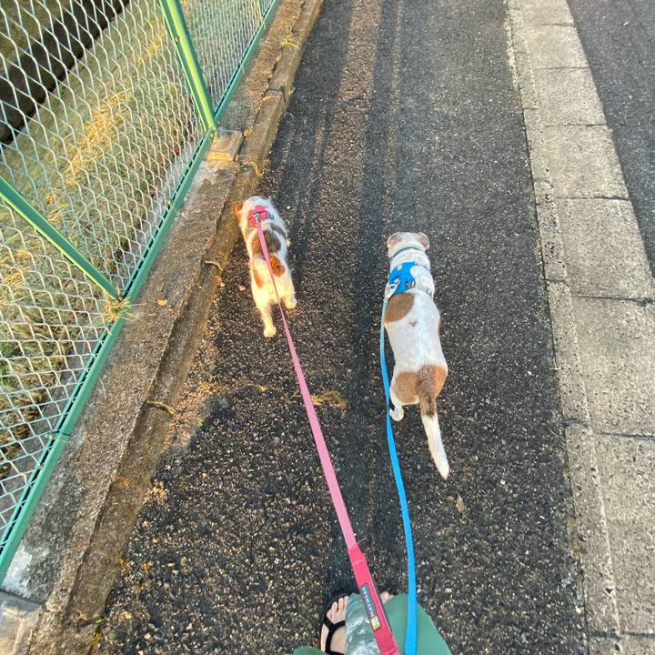 61a6107b 2d68 42b0 bdb5 ab649822e304 1694294040574