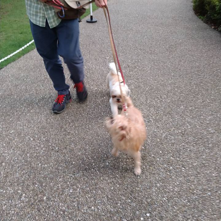 61a62cad cced 42fc 9b55 eaa3b1994562 1600165074091