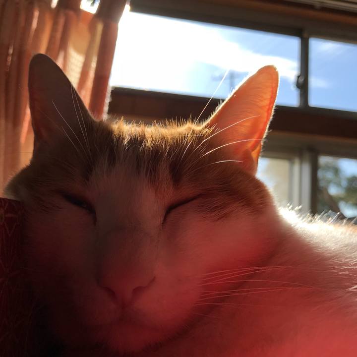 61a686e9 9a20 4146 8684 a723237a83a1 1512879549084