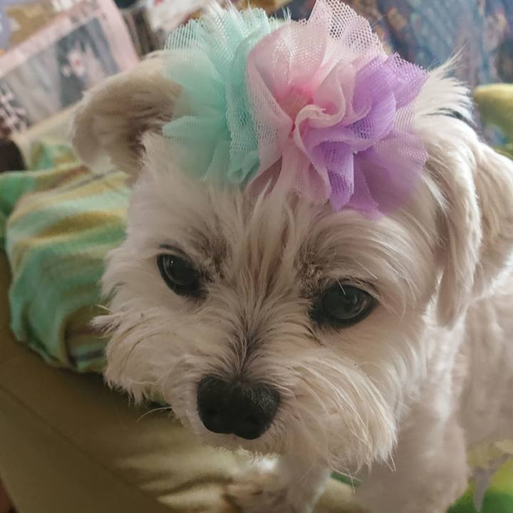 61a6b0a2 217a 4d67 911f 8fb57402cfa2 1622611045796