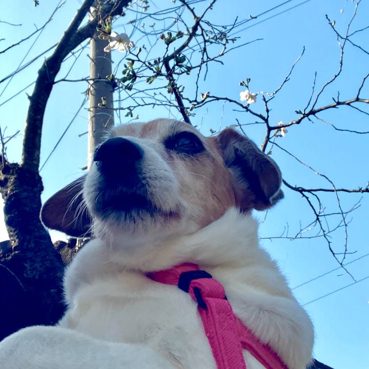 61a709ed f008 4a4a 9ae8 1bccc69e1ac1 1711847359134