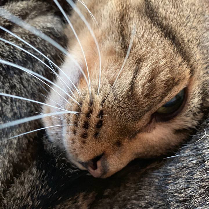 61a70a02 3d70 40d0 bf36 6ea431f7a110 1541464261020