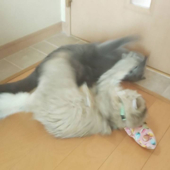 61a71b7f 4b20 4fe4 9063 e0f5c11dcac0 1559008200507