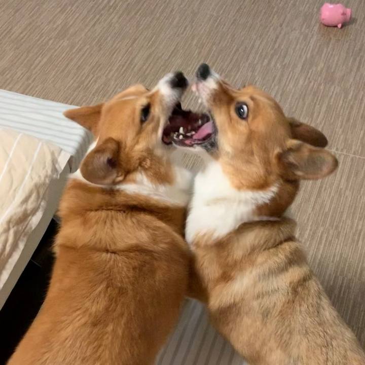 61a71c6b e9ad 4380 b372 5ad544ef1bce 1564907755451