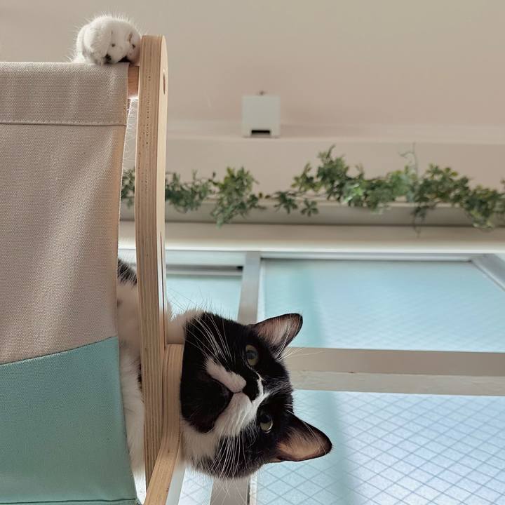 61a721f1 e230 427c b169 4f7ce02bdc2e 1760222388420