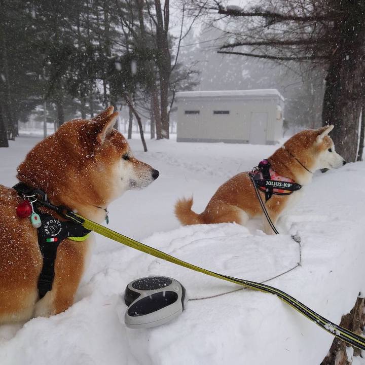 61a750fb 5a02 472e 9446 a3e792e9a641 1641001772003