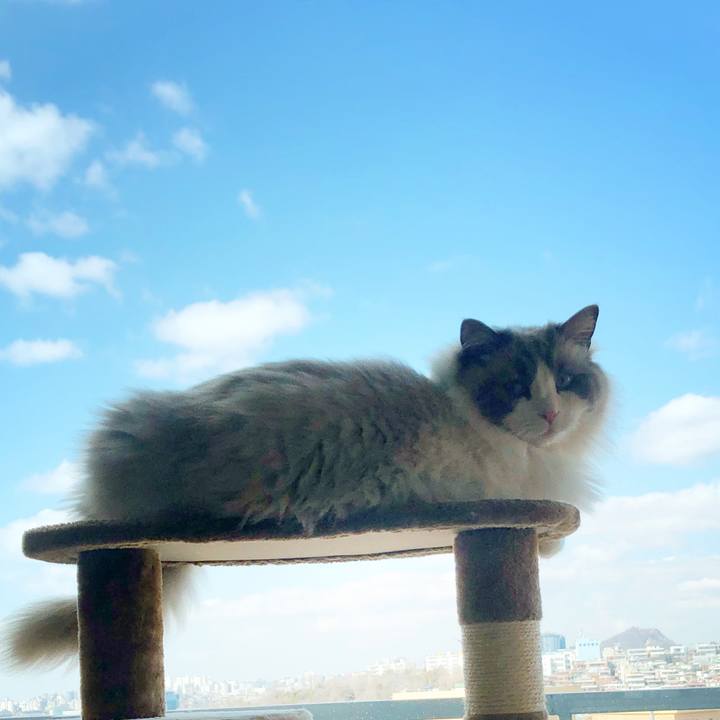 61a7b745 fcd0 41af 8436 88bb0ca71e4b 1582985314937