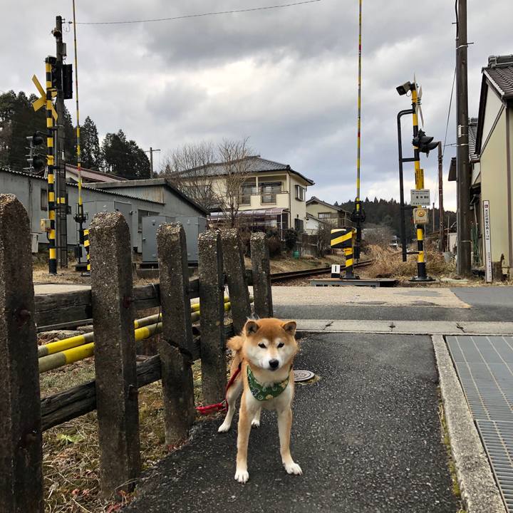 61a7cd62 2eea 4341 9302 45dfcb86e689 1547710741475