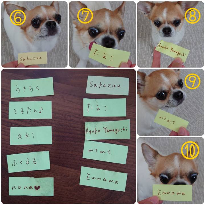 61a7e8d2 8e85 45d3 9523 a200046481d6 1686795998135