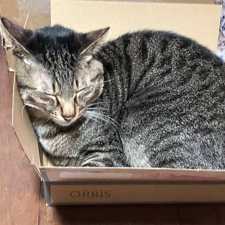 61a7ea1a 035f 41a2 876d 256f428765ed 1772715928622