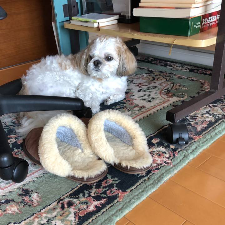 61a7ff3f 201b 4df3 8f20 729f8a8b600d 1525816637517