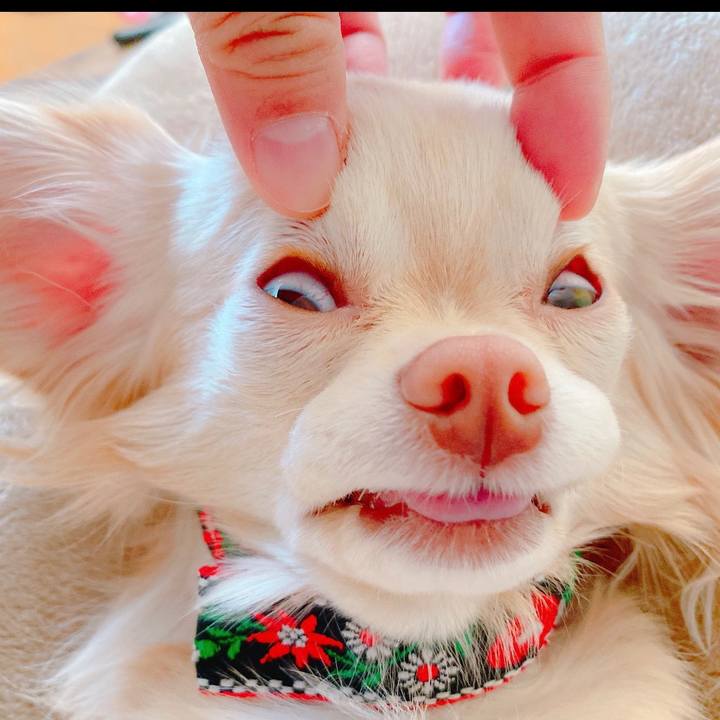 61a8278a 2293 4c0a a22e e97dbb52f681 1667133752359