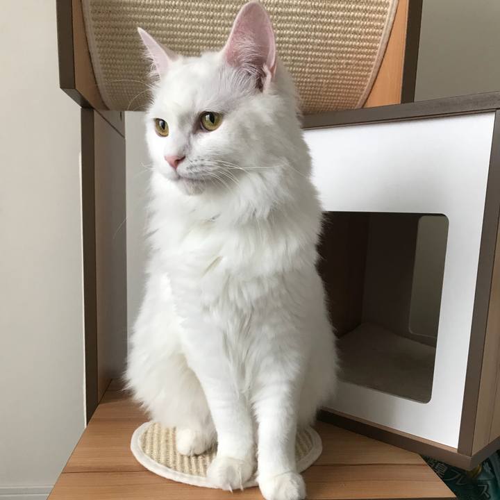 61a83c01 771a 4fdc 9739 3f4391801799 1528775670806