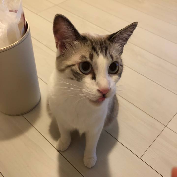 61a87989 d0f2 4b13 b8cb f35620d05369 1533819592560