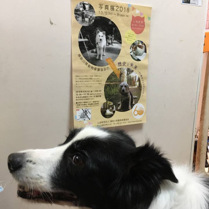 61a8896e 1b04 4afd 90d2 be0e19505271 1538390470101