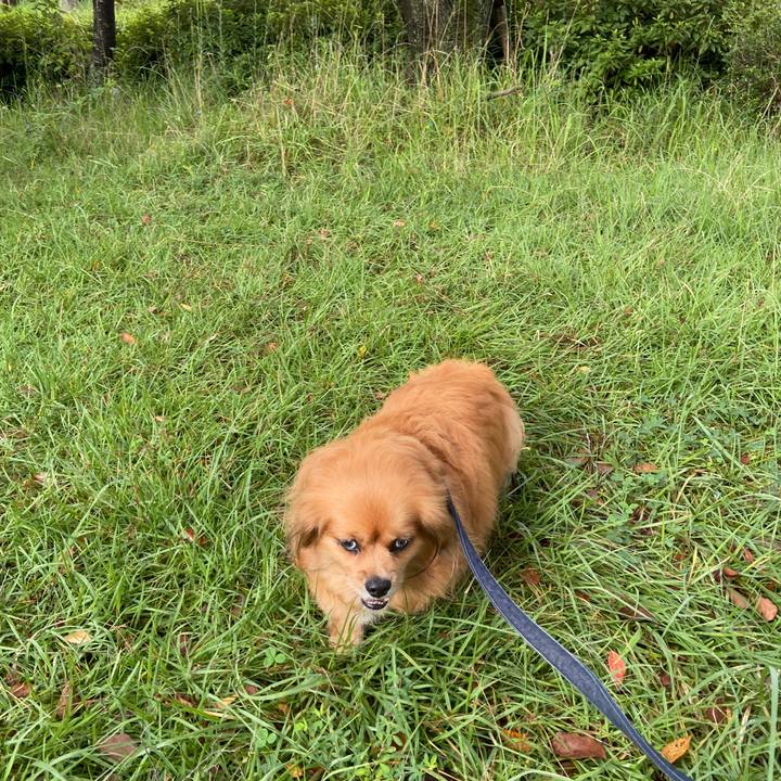 61a8974b 55c6 42b4 967d d6562054b40b 1629503919267