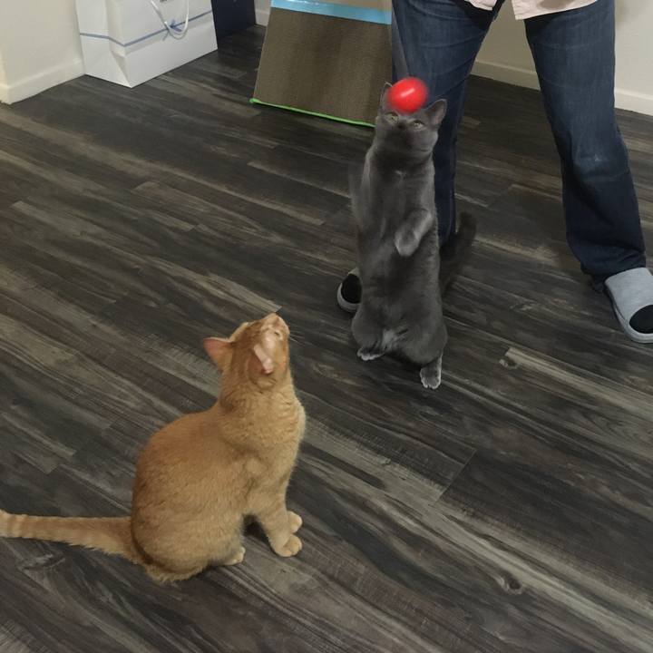 61a8b55d 398b 4e41 9048 f1e1710e91c7 1633877553795