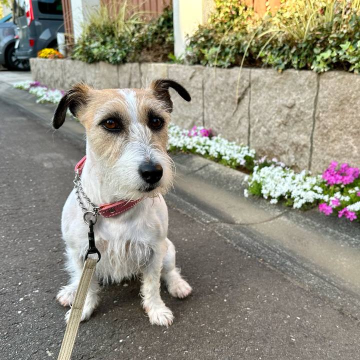 61a8d949 424e 473f b796 c457ee8a03c6 1713214111374