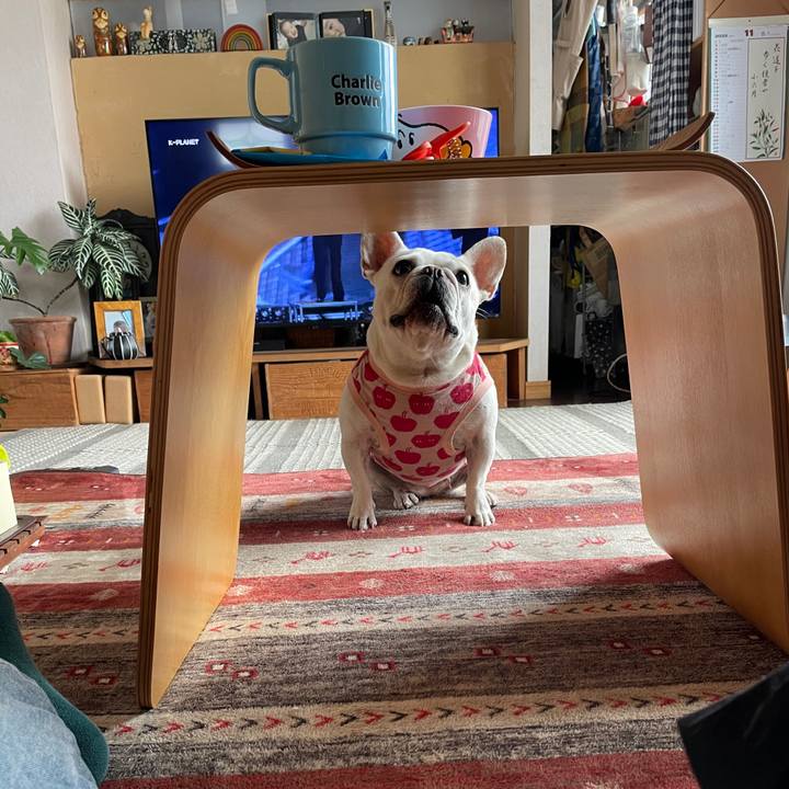 61a8f720 54c4 46ab 8743 4b907b4c8d03 1762399779800