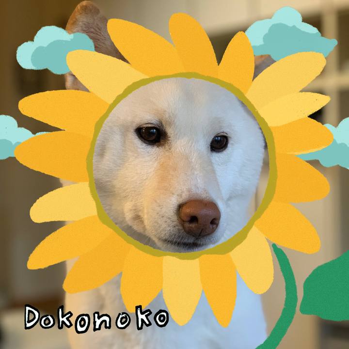 61a92f1a 0f76 4ccb 8c3a a17dad978146 1723410057226