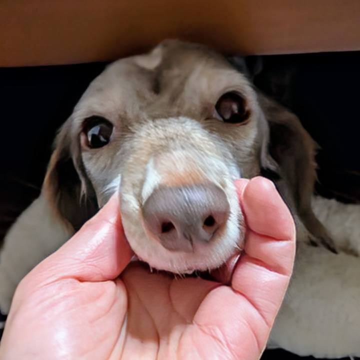 61a93168 20e6 47dd 86d8 f54e55788431 1766314013021