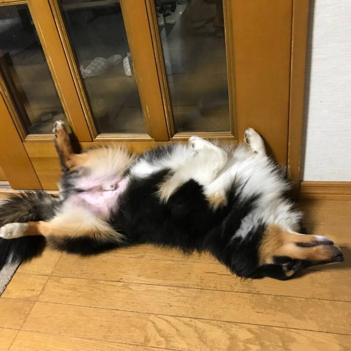 61a95f9d 1486 44a2 bf6d f0c3a4b30262 1536185471672