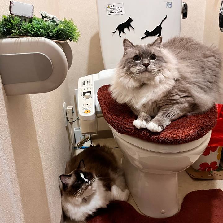 61a99038 b0e6 4f99 b856 4360043fba7a 1663417074762