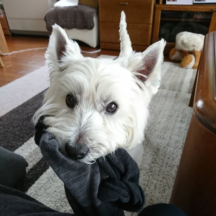 61a99ee2 a6c7 4496 ba8e b3e79fb4d265 1528327612363