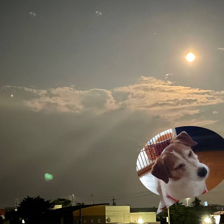 61a9a2f6 2b59 49af 86f8 edf7c9a9fa0a 1627131465206