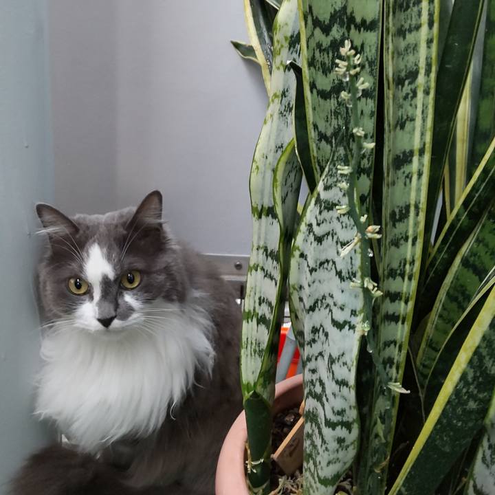 61aa1501 88d8 4bcb 8913 fc1177c88b8e 1624825438083