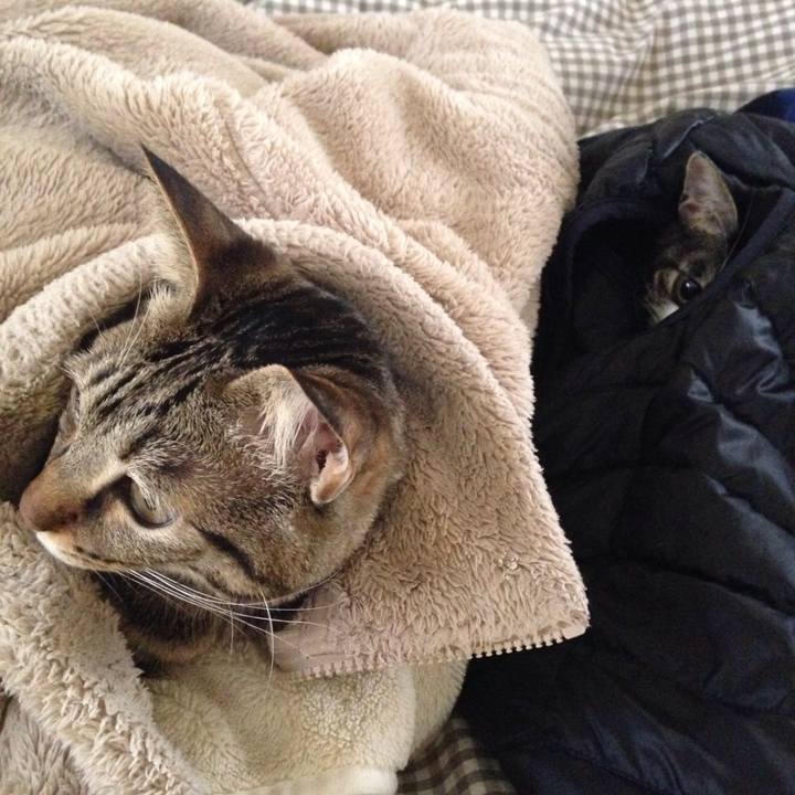 61aa250a 4420 4db2 8ed1 9d7a105e9091 1512701435608