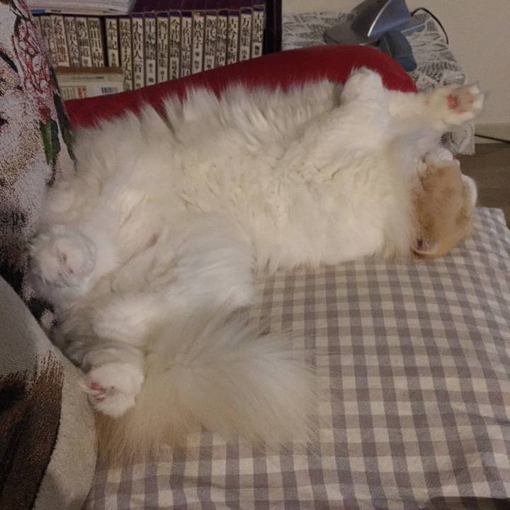 61aa2b50 21c1 4efa b008 92661c00976f 1517317864942