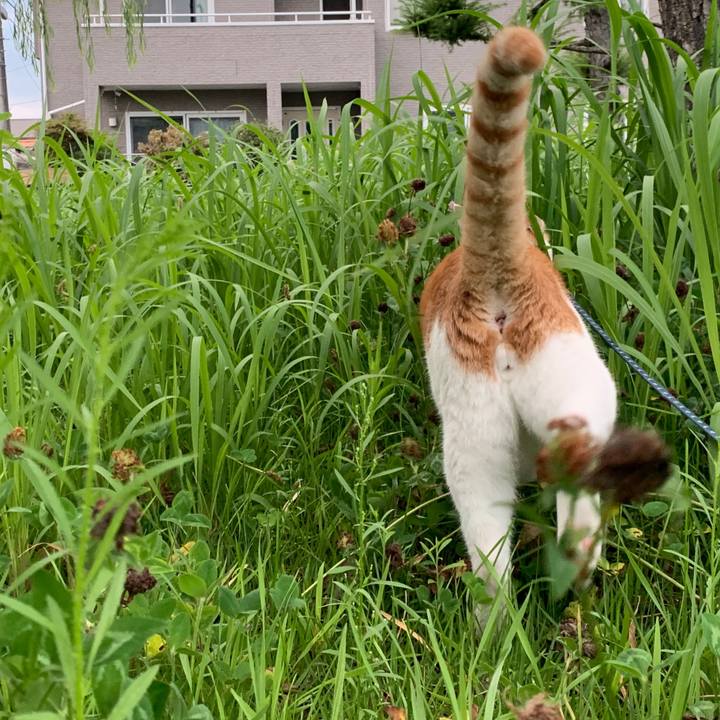 61aa5038 bc79 4bc6 b697 ad73ccf8f4bd 1630472800942