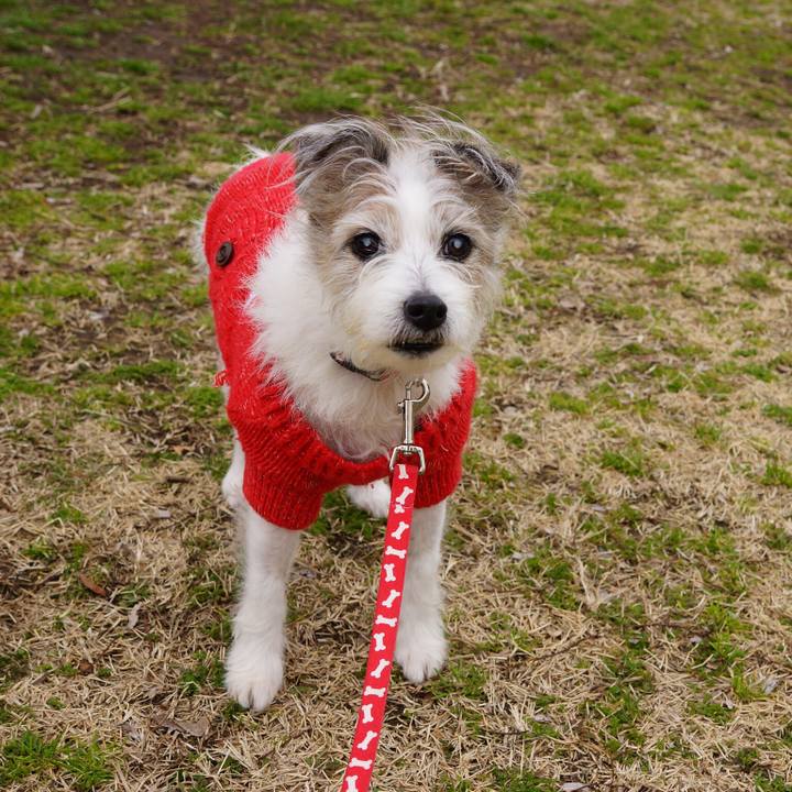 61aa72e0 e320 4105 b189 ef628cedf70d 1607033662673