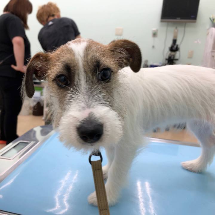 61aa7773 3710 4e1a bb7c 2a0e54037271 1564043492960