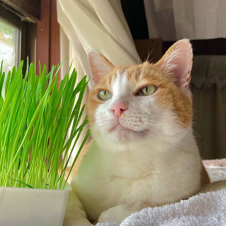 61aad413 06c7 45d0 bfe5 b69af3e07833 1684305588304