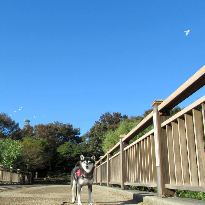 61aadc16 8022 4e71 aa11 cba59929cc71 1666828821309