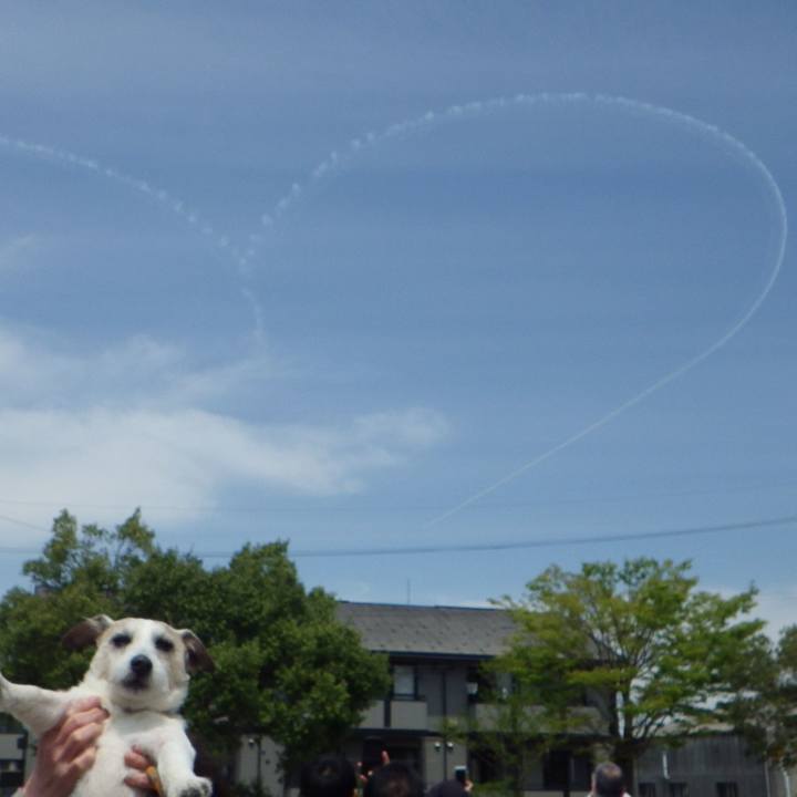 61ab5b0d 4ada 438c 85be 843d132de5d5 1619090589545