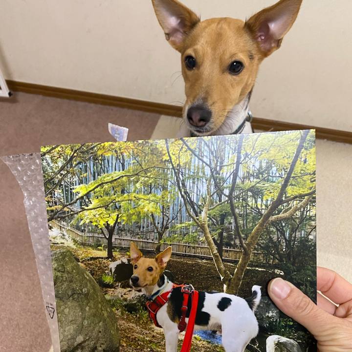 61ab5fa4 8fce 4aa0 8265 e8337f5e5db6 1766304276462