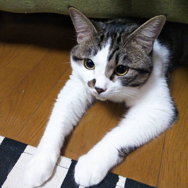 61ab86b1 1c25 4c6c be33 a898a35e5d68 1623883518759