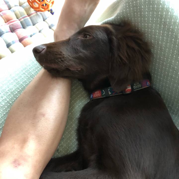 61ab8fb6 2e77 47dc a3d3 6747cd87315b 1560582339370