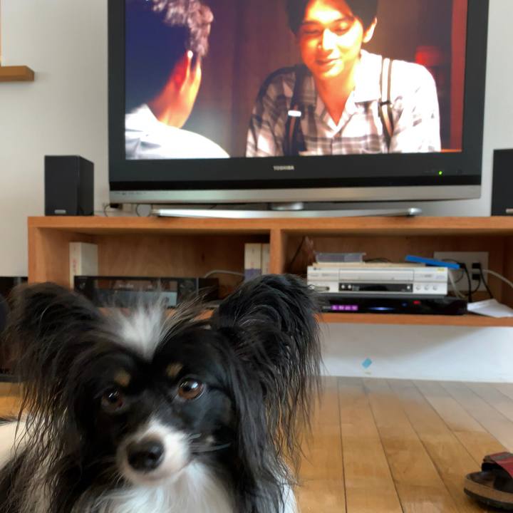 61ab9f58 0834 40e4 82b9 5775811f0e79 1567640158502