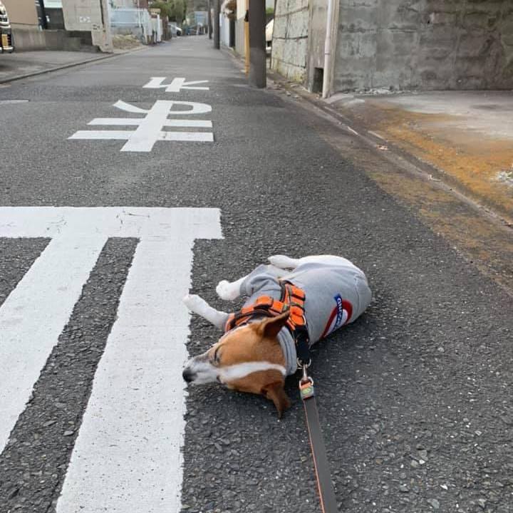 61abd229 dd3f 4b88 a153 a6c7b3723d37 1676628356366