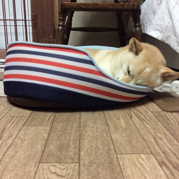 61abedb9 7a1c 4443 9f88 863d1bba838e 1534422128140