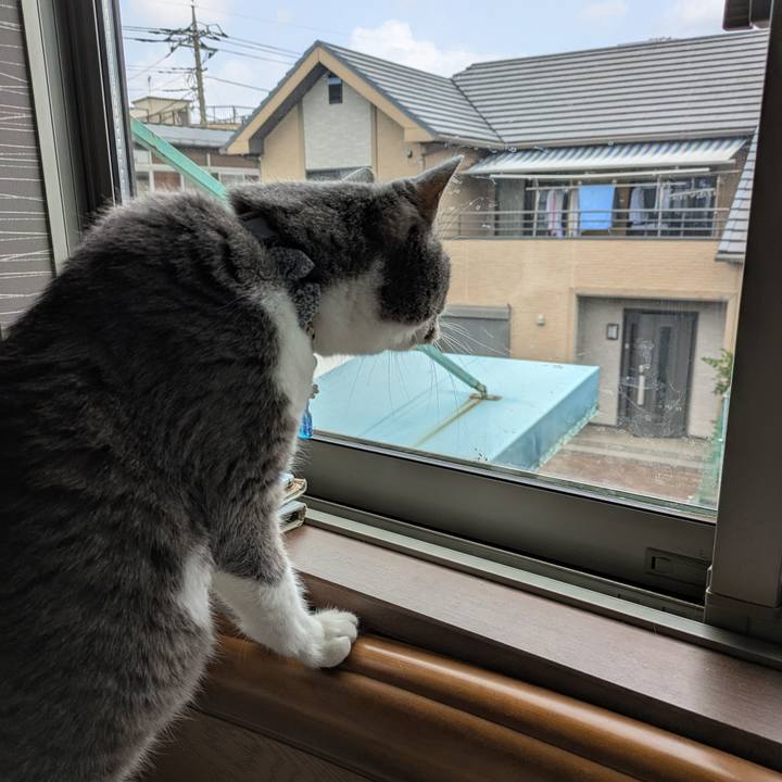 61acb946 0c16 4bc7 9d58 7adb56897f73 1751587877885