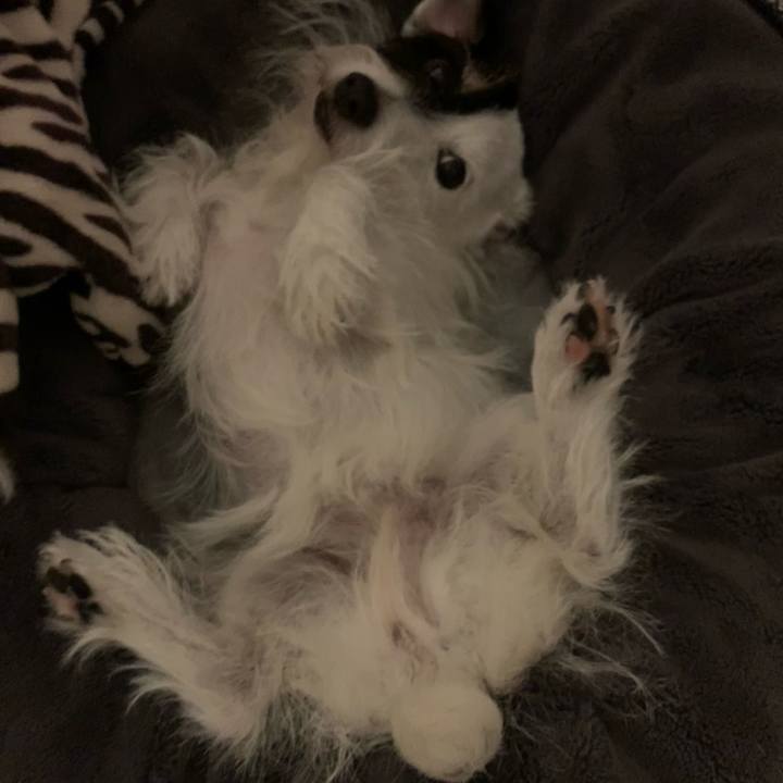 61ad11b8 f029 40b2 9dbb e72d377be17a 1698840927398