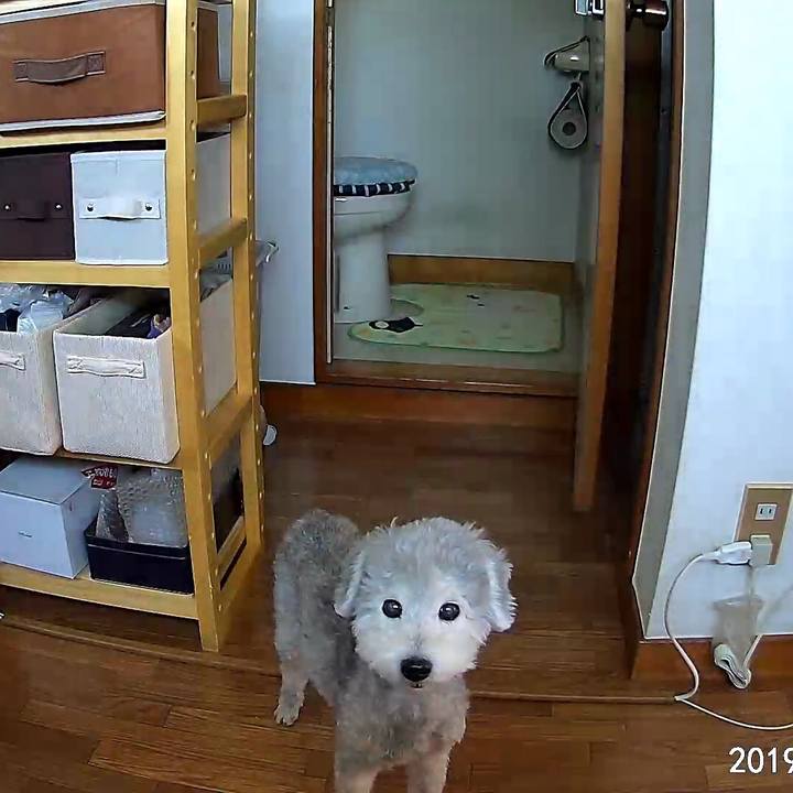 61ad2983 54f1 4ded 9b7f effc2cfd5fca 1559171319184