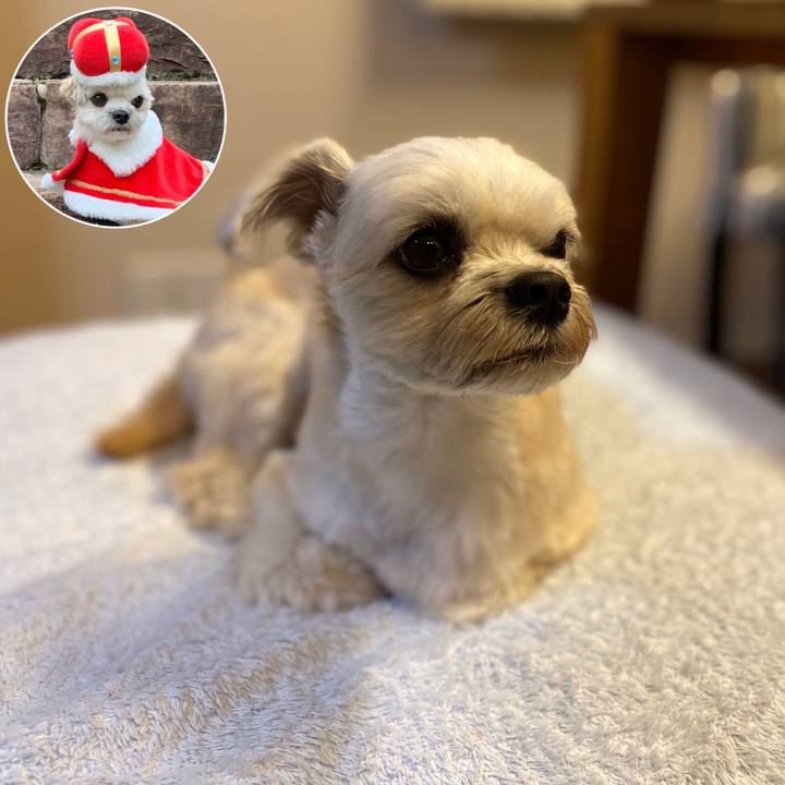 61ad3c6e 5522 46d4 8f36 c554e5224e13 1571742193935