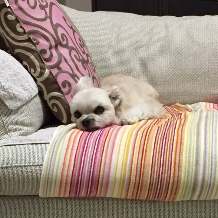 61ad583b 97e9 4831 ae3c a127349a120b 1553162348453