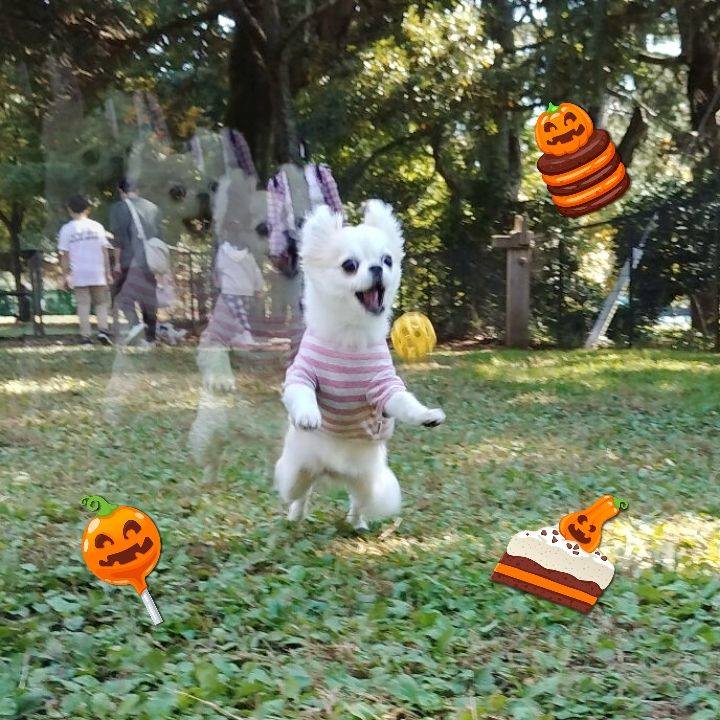 61ad75bb 5d43 486a b348 f028e643b2e6 1667225737693